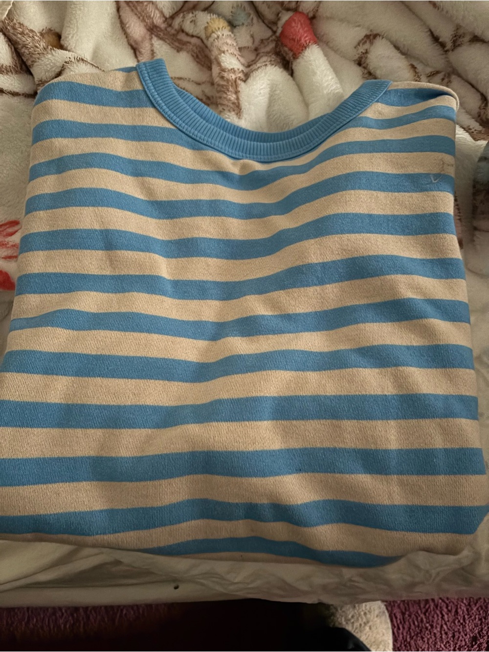 Aerie Striped Crewneck Sweatshirt